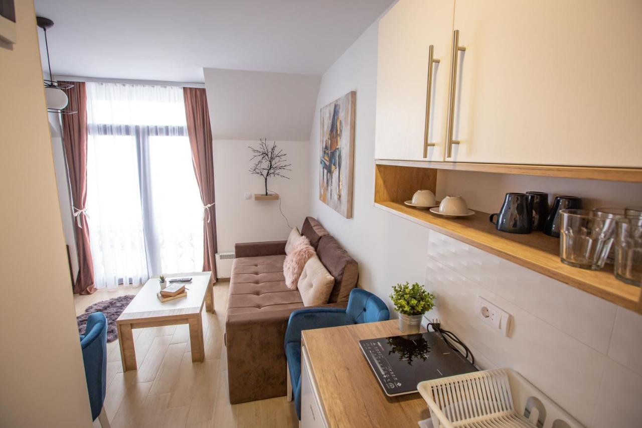 Apartments View Dvori E25 Kopaonik Extérieur photo